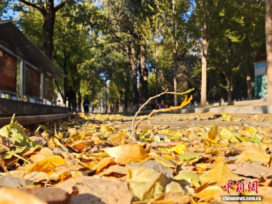 �S��54·��܉�܇�ؾ��h(hu��n)���������Σ���߅�Lò�����������S���~䁝M·�������� ���z