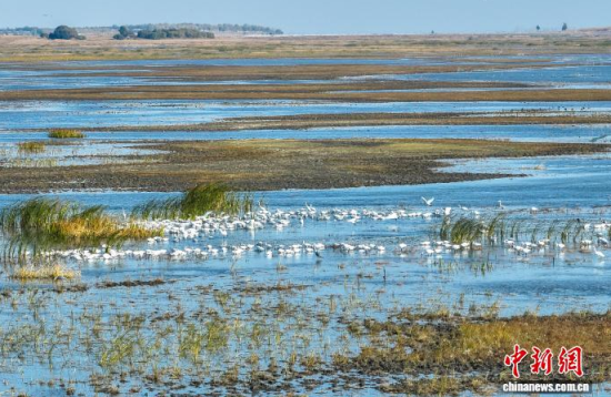 10��16��������ĪĪ����Ҽ���Ȼ���o(h��)�^(q��)��(n��i)�������ڑ�ˮ��(�o�˙C(j��)��Ƭ)�w��� �z