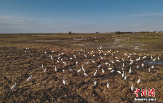 10��16�����ڼ���ĪĪ����Ҽ���Ȼ���o(h��)�^(q��)��(n��i)���Q����Ϣ��(�o�˙C(j��)��Ƭ)�w��� �z