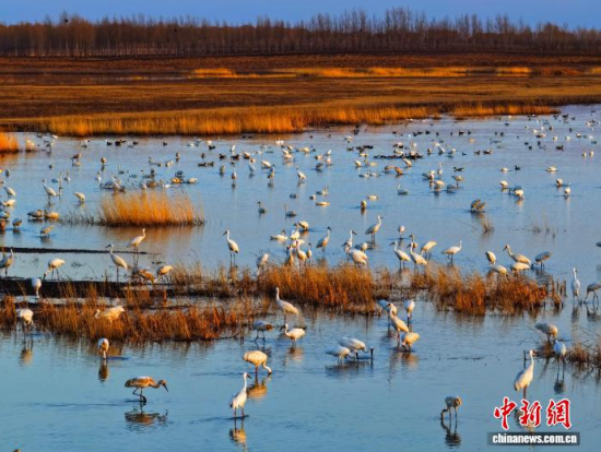 4��11�գ������(zh��n)�l�����Q����ϡ�B���ĪĪ����Ғʳ���������� �z
